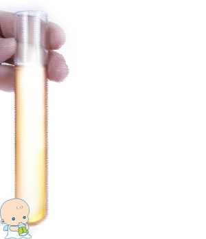 胚胎实验室